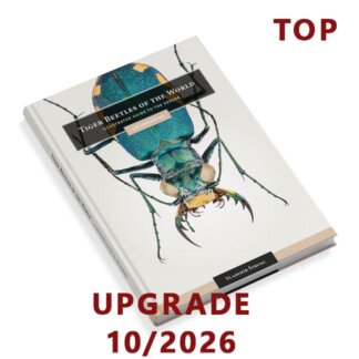 Tiger Beetles of the World 2nd Edition