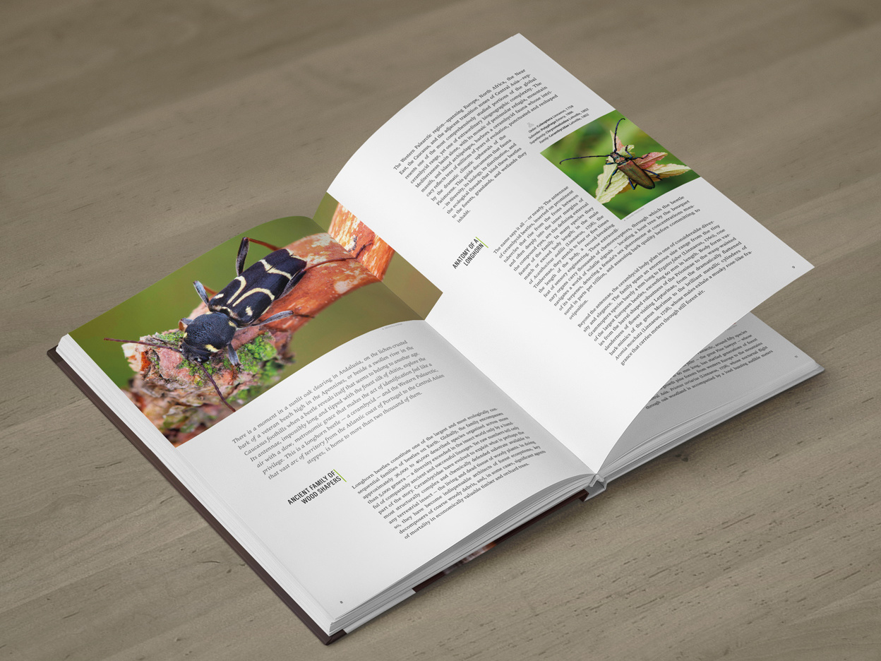 CER-01_promo-B1 Cerambycidae of the Palearctic region (pages 8–9)