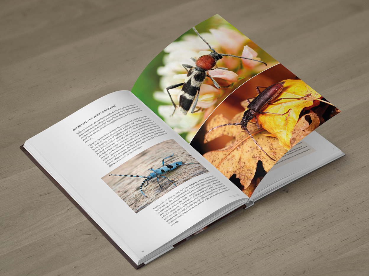 CER-01_promo-B2 Cerambycidae of the Palearctic region (pages 16–17)