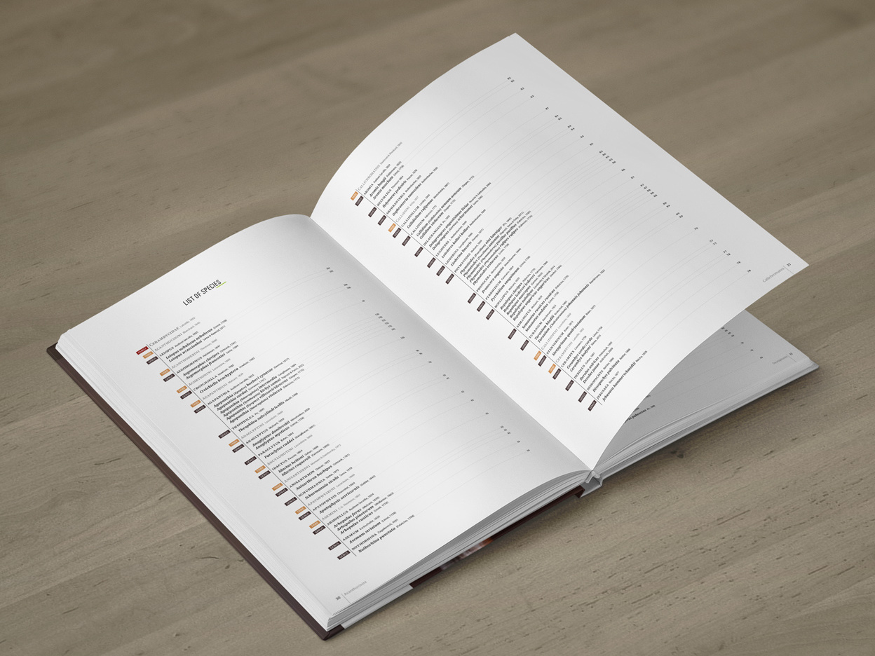 CER-01_promo-B3 Cerambycidae of the Palearctic region (pages 30–31)