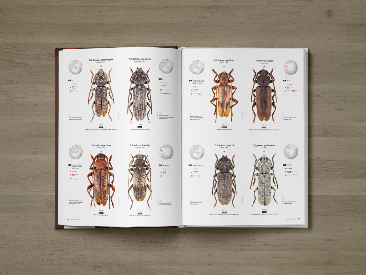 CER-01_promo-C2 Cerambycidae of the Palearctic region (pages 68–69)