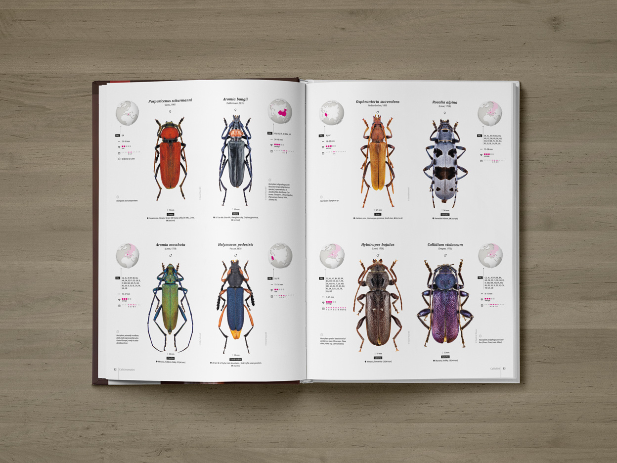 CER-01_promo-C3 Cerambycidae of the Palearctic region (pages 82–83)