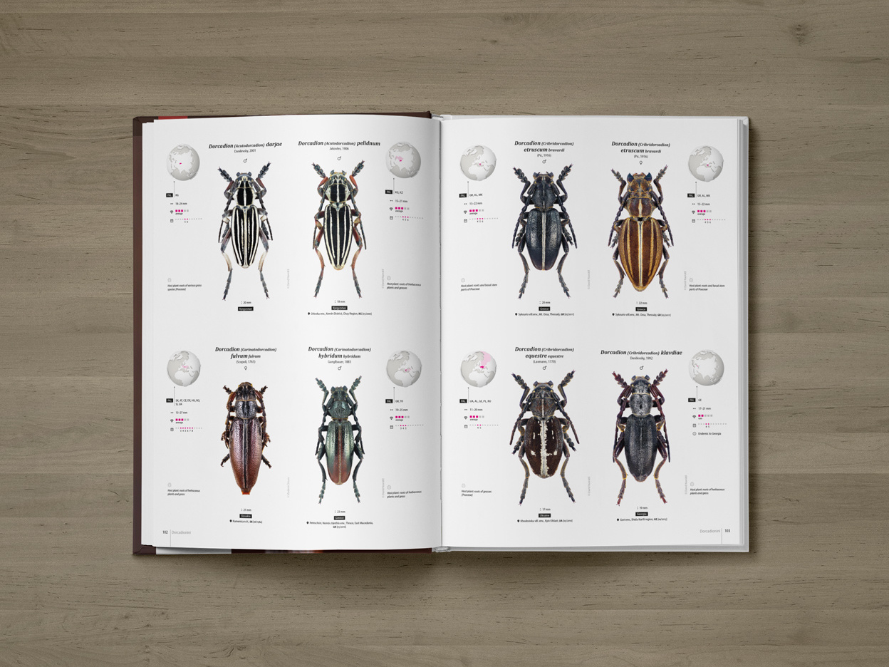 CER-01_promo-C4 Cerambycidae of the Palearctic region (pages 102–103)