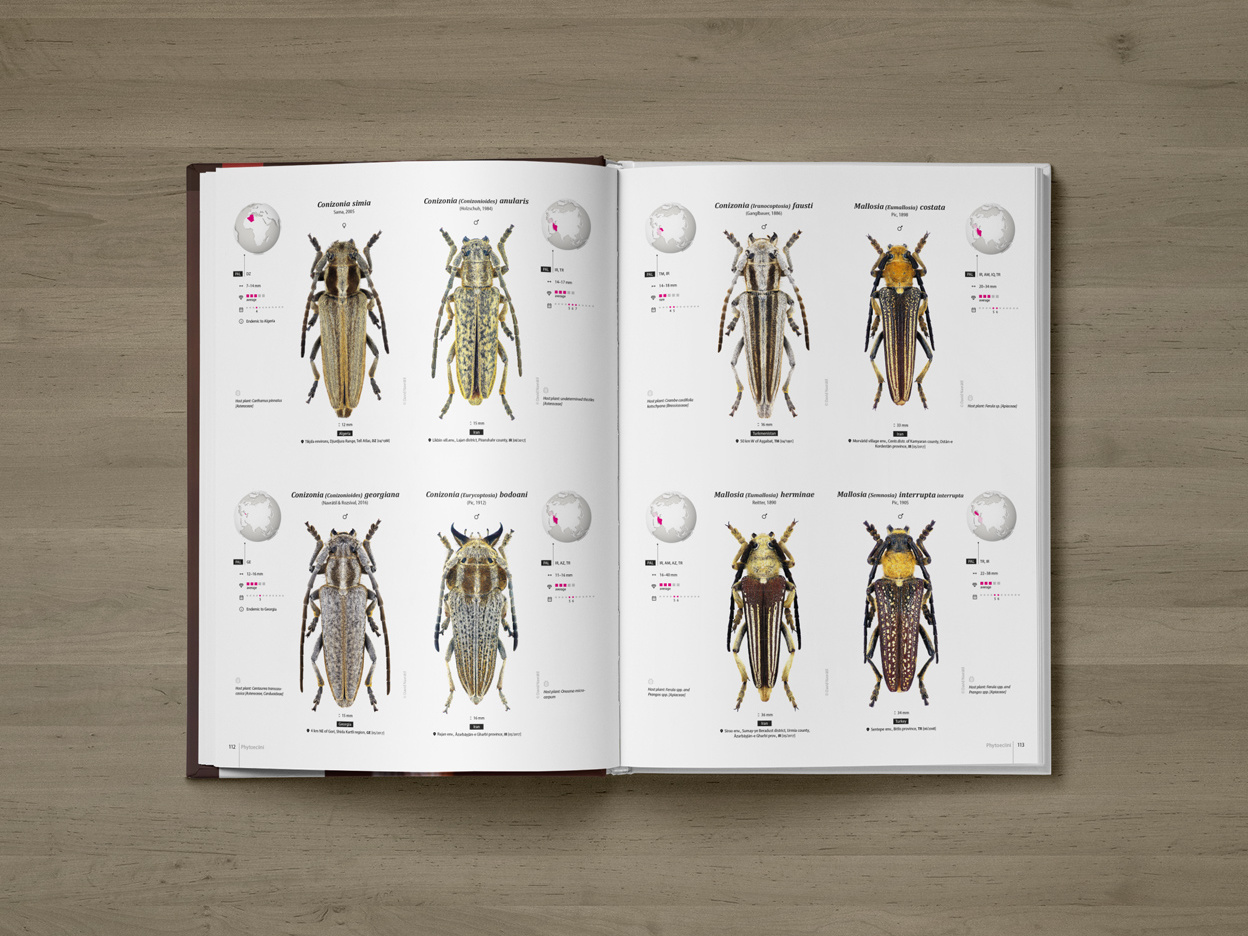 CER-01_promo-C5 Cerambycidae of the Palearctic region (pages 112–113)