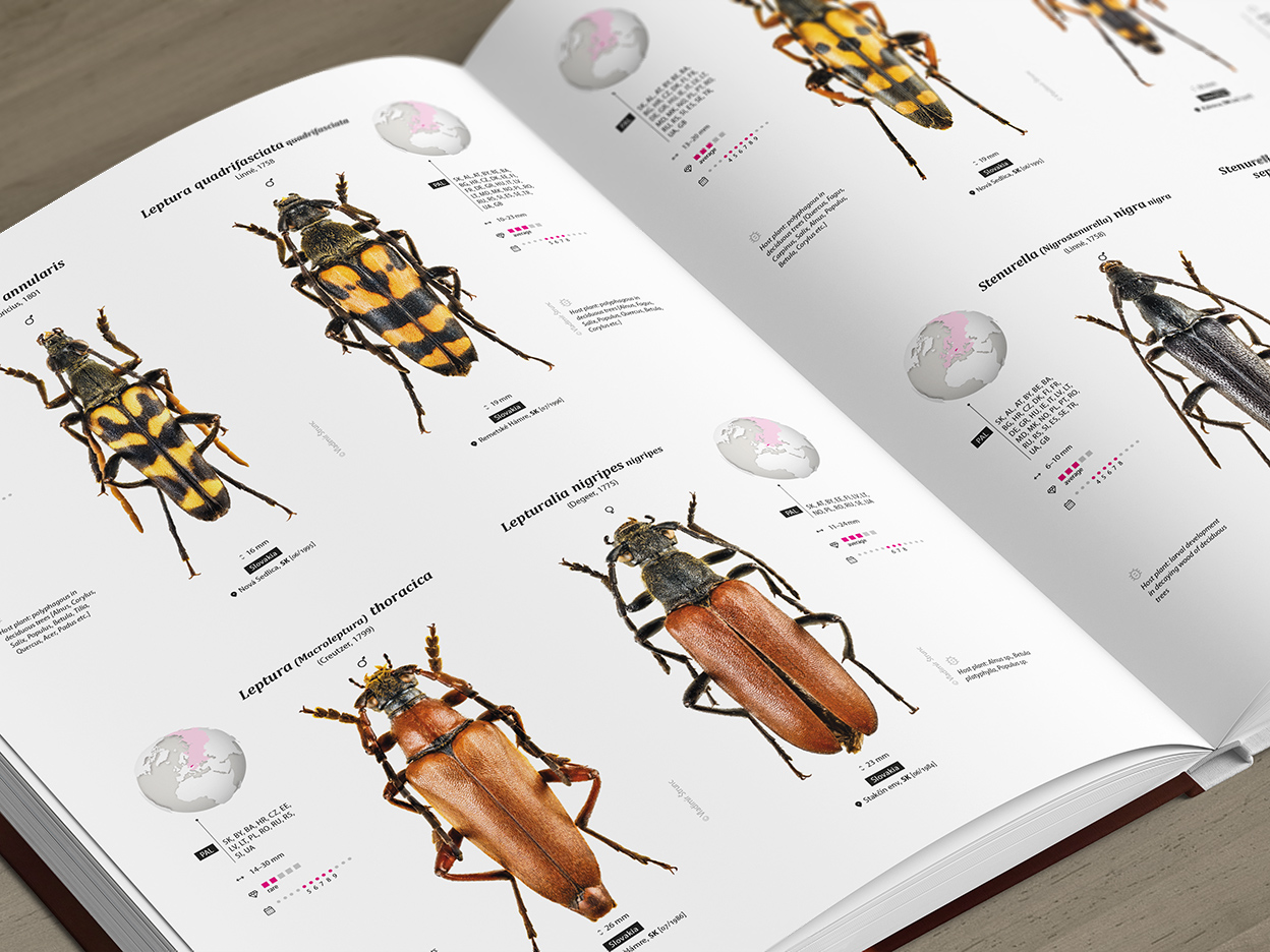 CER-01_promo-E1 Cerambycidae of the Palearctic region (pages 60–61)