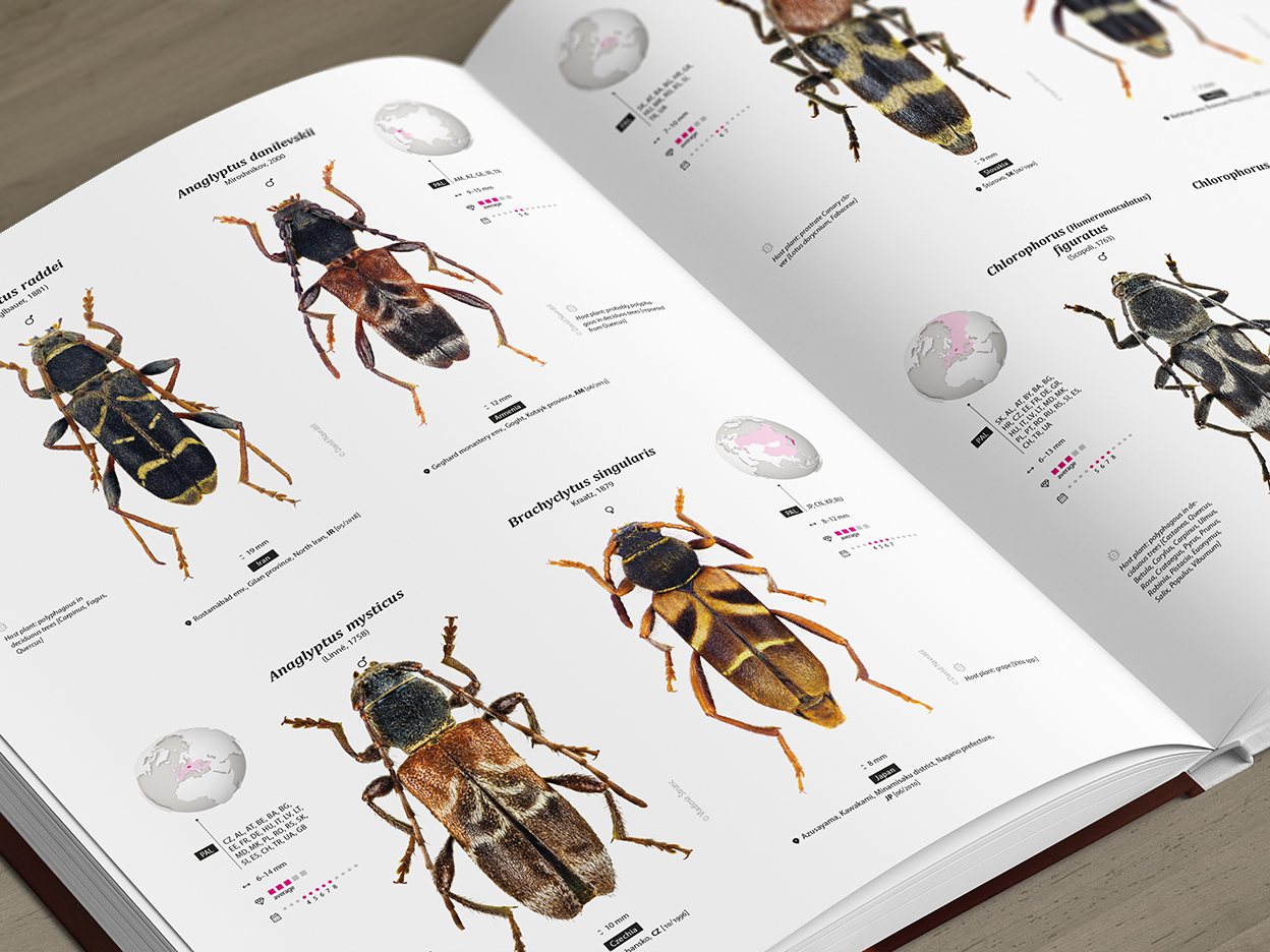 CER-01_promo-E2 Cerambycidae of the Palearctic region (pages 90–91)