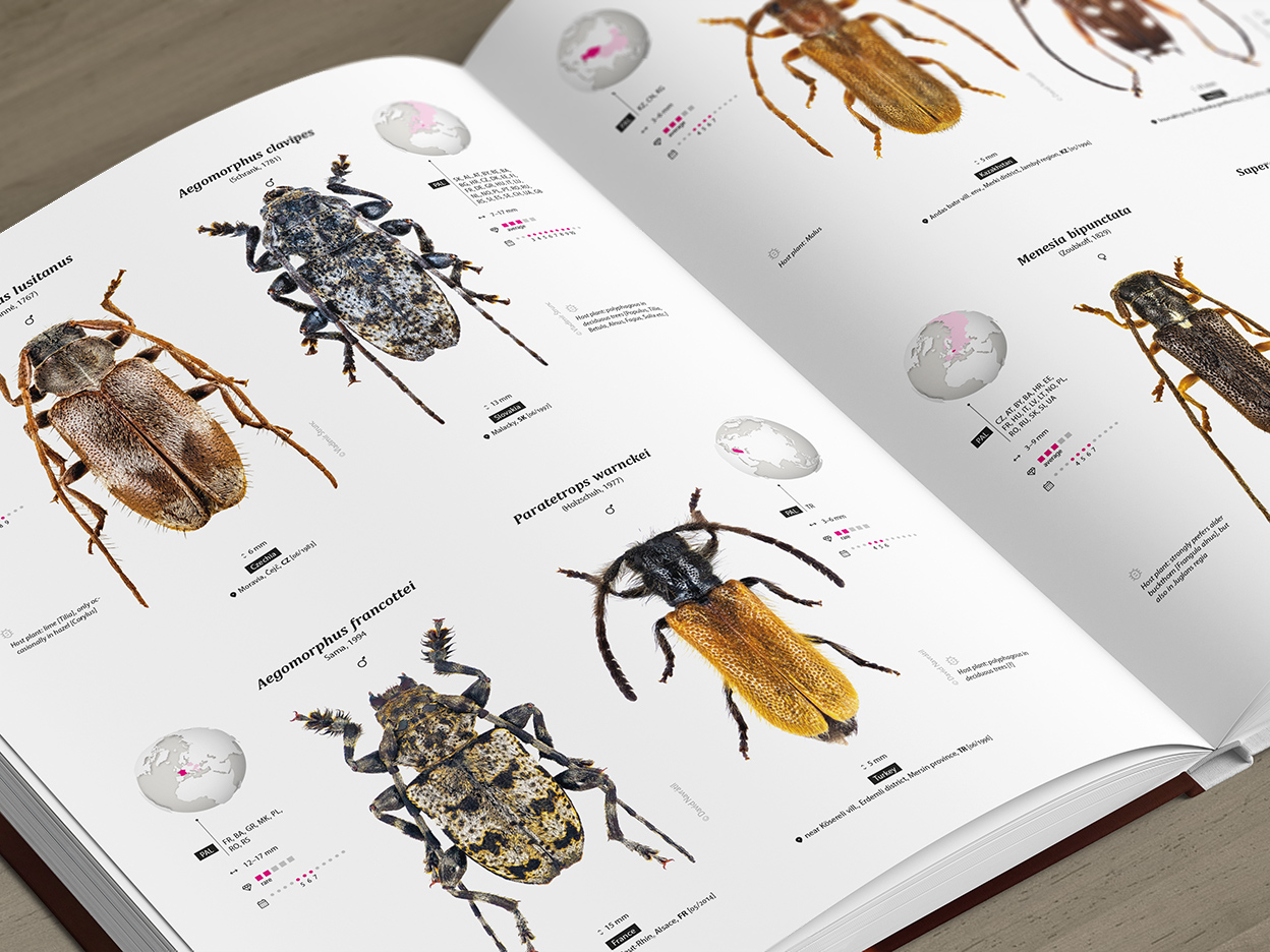 CER-01_promo-E3 Cerambycidae of the Palearctic region (pages 108–109)