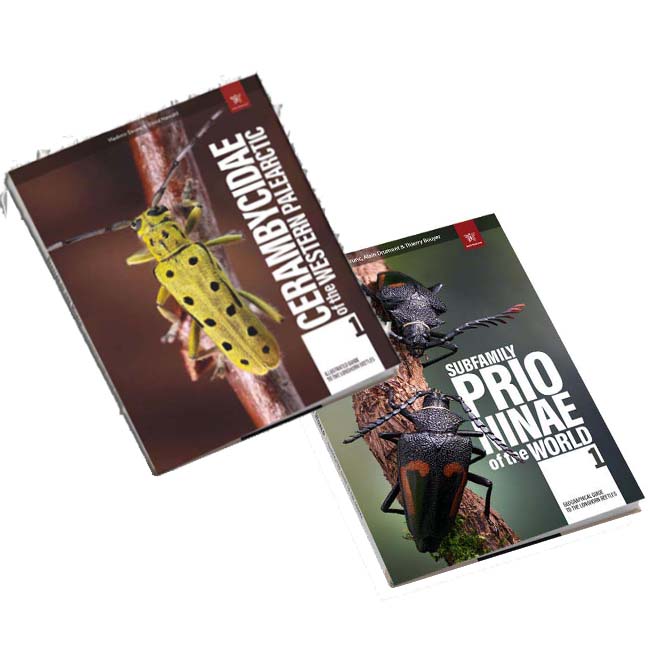 Cerambycidae & Prioninae Collection Bundle