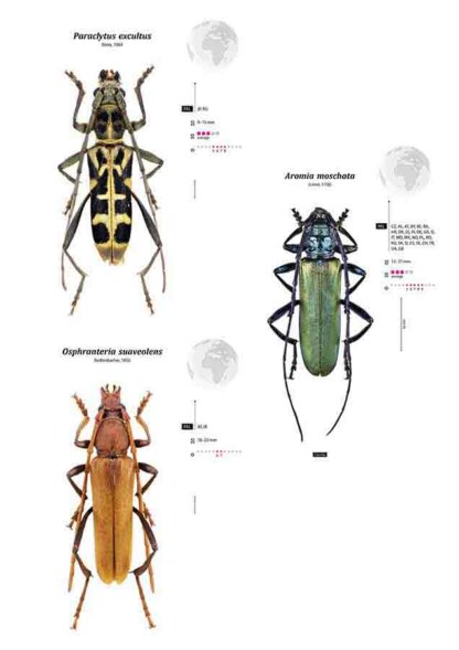 Cerambycidae of the Western Paleartic