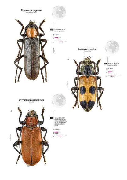 Cerambycidae of the Western Paleartic