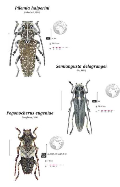 Cerambycidae of the Western Paleartic