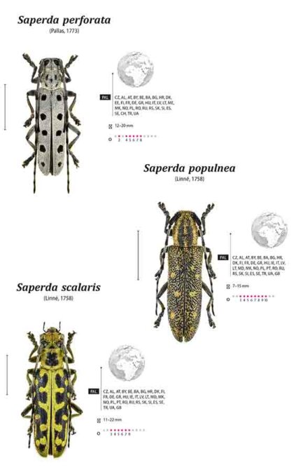 Cerambycidae of the Western Paleartic