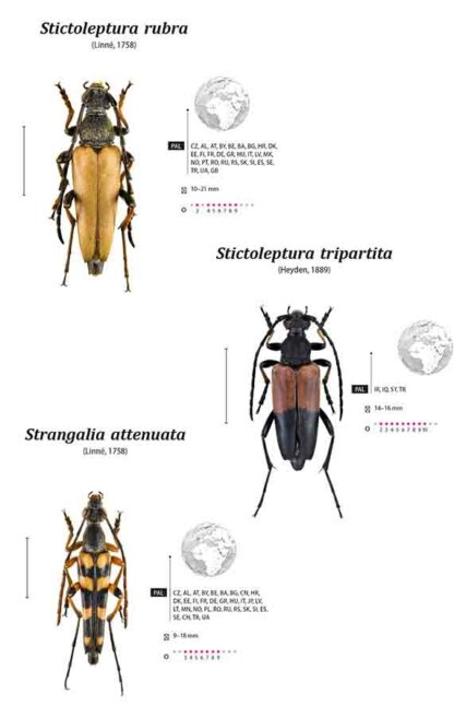 Cerambycidae of the Western Paleartic