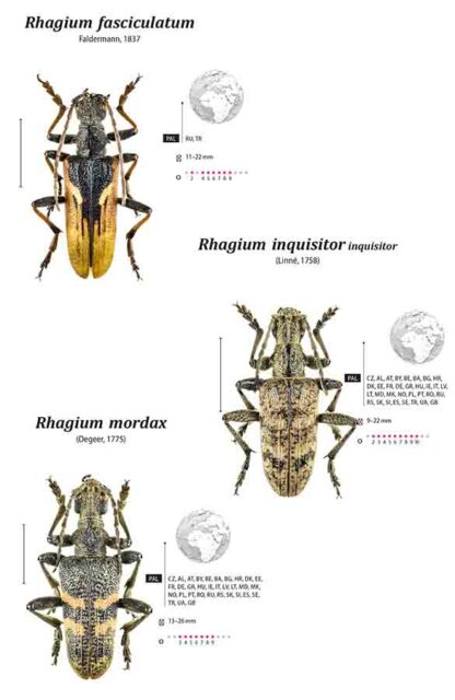 Cerambycidae of the Western Paleartic