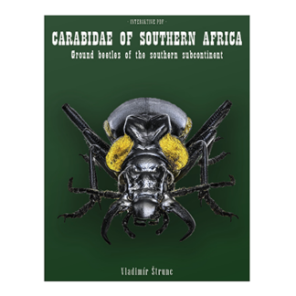 Carabidae of Southern Africa
