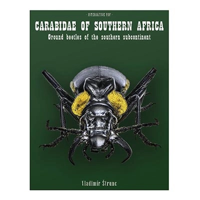 OBALY_AFR_CAR_01_WEB Carabidae of Southern Africa