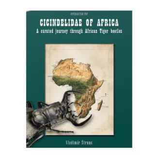 Cicindelidae of Africa