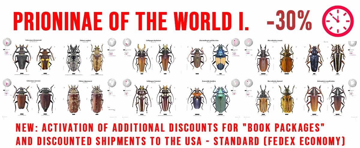Beetles