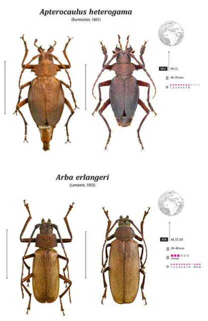 Prioninae of the World