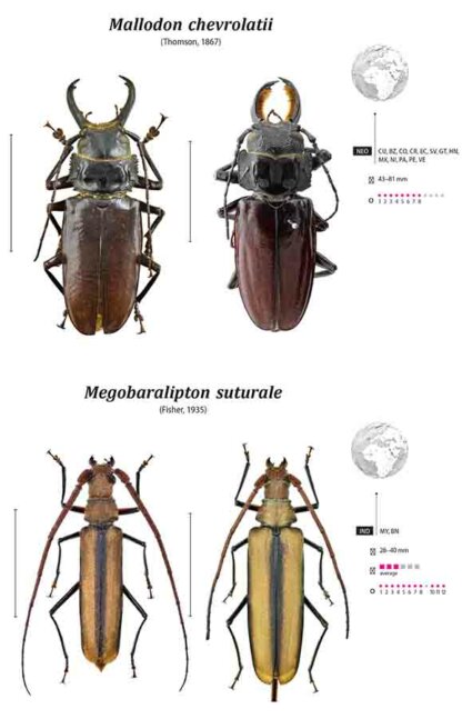 Prioninae of the World