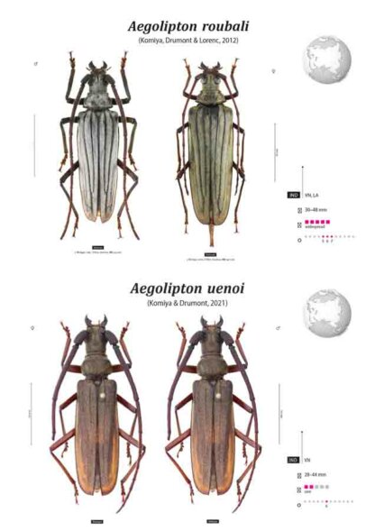 Prioninae of the World