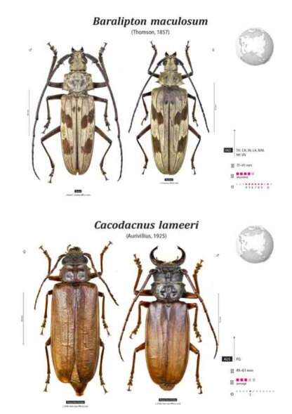 Prioninae of the World