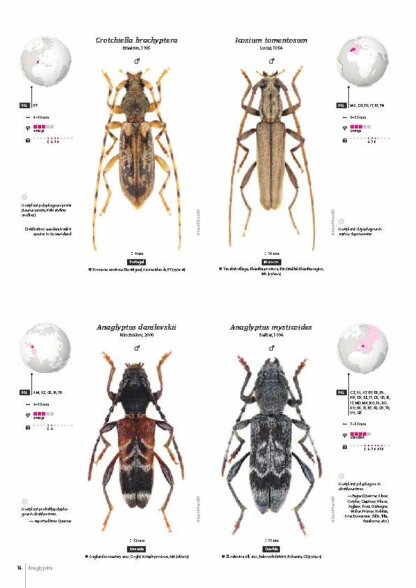 Cerambycidae of the Western Paleartic