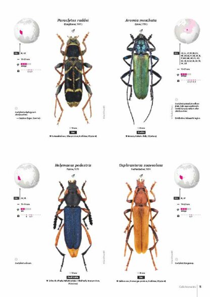 Cerambycidae of the Western Paleartic