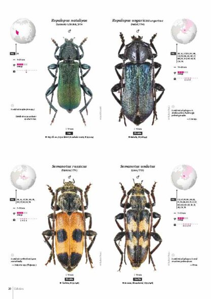 Cerambycidae of the Western Paleartic