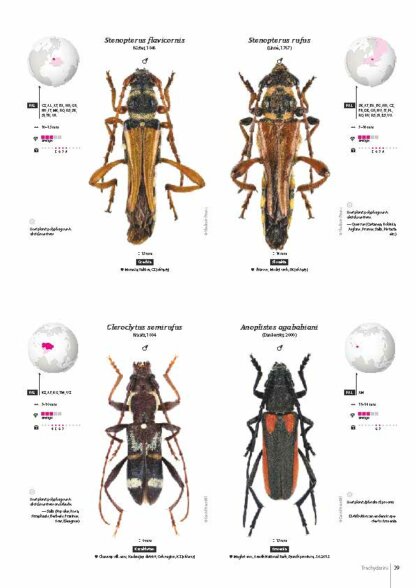Cerambycidae of the Western Paleartic