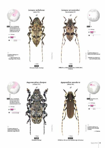 Cerambycidae of the Western Paleartic
