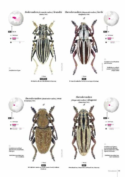 Cerambycidae of the Western Paleartic
