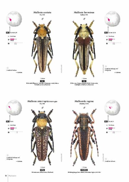 Cerambycidae of the Western Paleartic