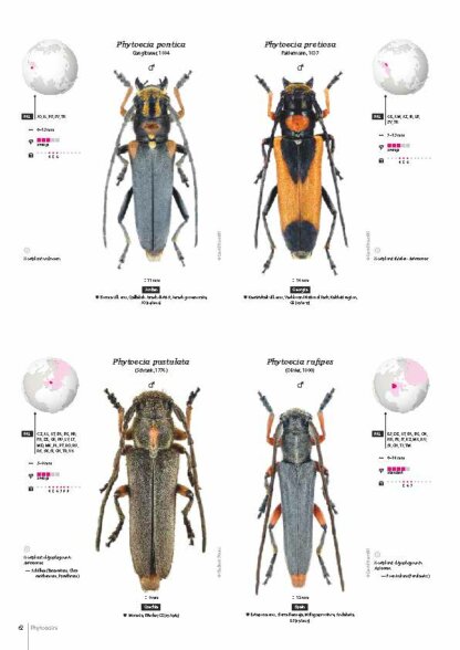 Cerambycidae of the Western Paleartic
