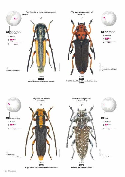 Cerambycidae of the Western Paleartic
