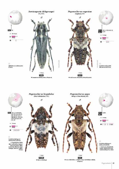 Cerambycidae of the Western Paleartic