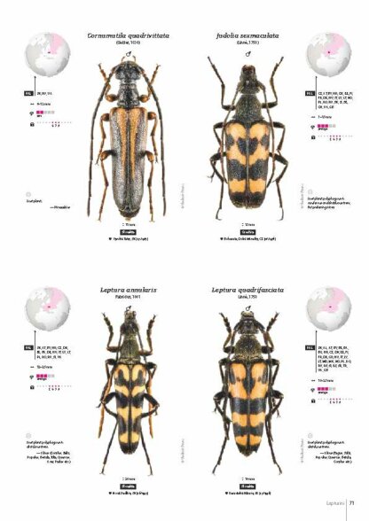Cerambycidae of the Western Paleartic
