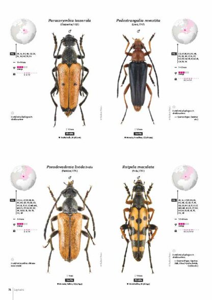 Cerambycidae of the Western Paleartic