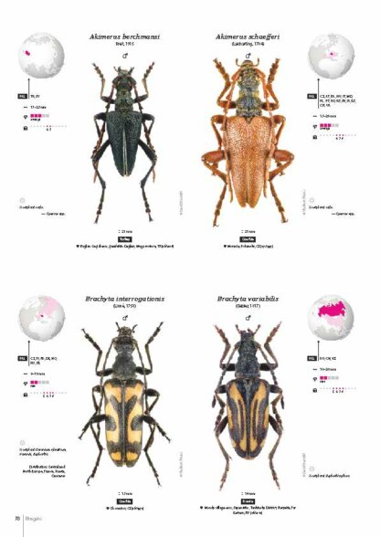 Cerambycidae of the Western Paleartic