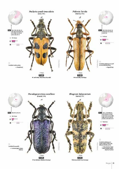 Cerambycidae of the Western Paleartic