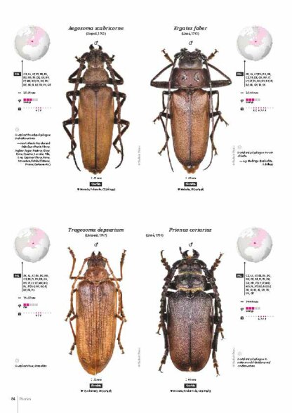 Cerambycidae of the Western Paleartic
