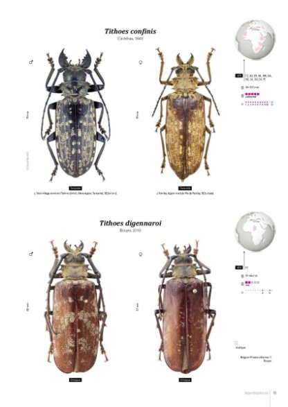 Prioninae of the World I