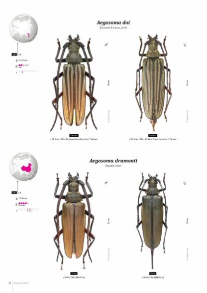 Prioninae of the World I