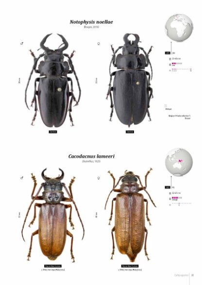 Prioninae of the World I