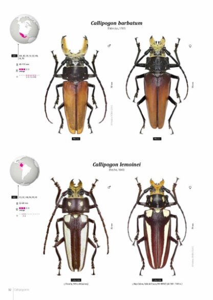 Prioninae of the World I