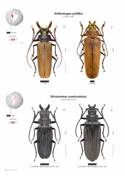 Prioninae of the World I