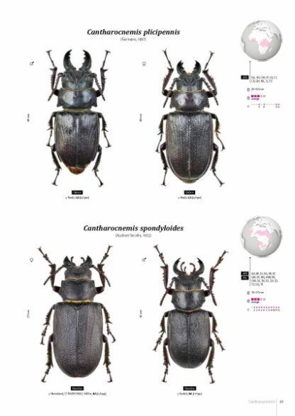Prioninae of the World I