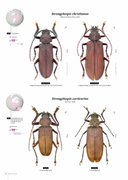 Prioninae of the World I