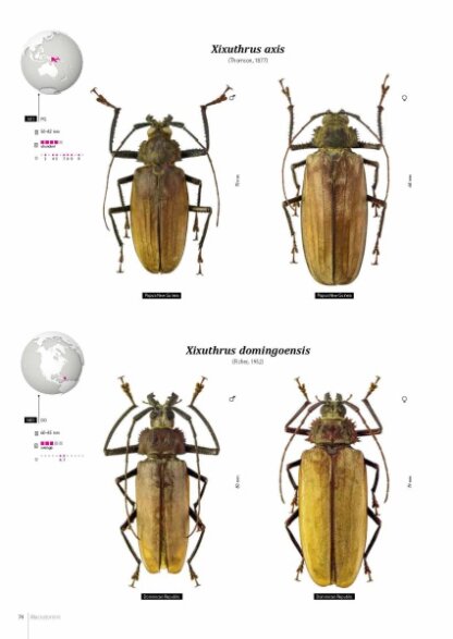 Prioninae of the World I