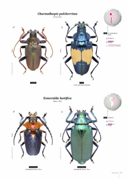Prioninae of the World I